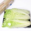 Heat-Resistant Compostable PLA Cling Film for Eco-Friendly Food Packaging